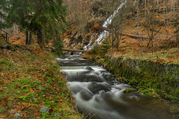 Bila Opava river in Jeseniky mountains in spring morning