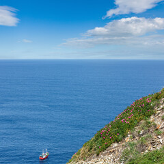Boat on water surface and blossoming coast with pink flowers (Asturian,  Spain).