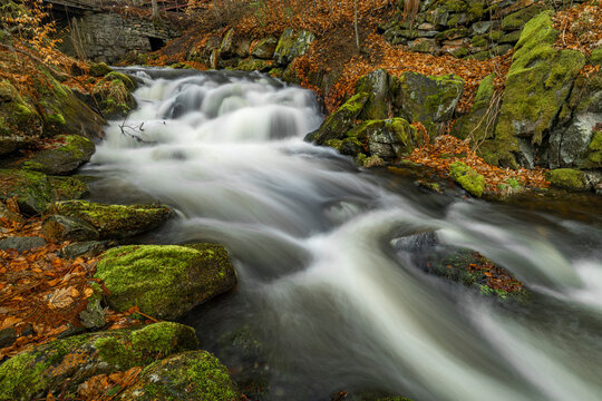 Bila Opava river in Jeseniky mountains in spring morning
