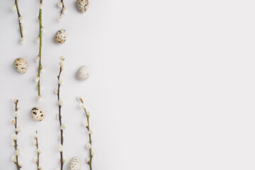 Eco Easter flat lay. Natural pussy willow branches and quail eggs on light grey background. Festive composition layout. Spring holiday postcard. Willow catkins and eggs template. Top view, copy space.