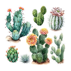 Set of Cactus Hand drawn illustration in watercolor