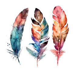 3 hand drawn boho watercolor feathers with ornaments on white background © 1emonkey