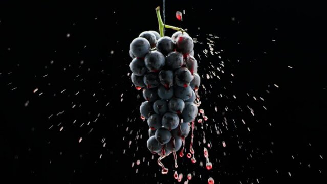 Beautiful stock footage for wine commercial. Taste Luxury Grapes. Quality Creative Vine. Red wine flows on a ripe grape.