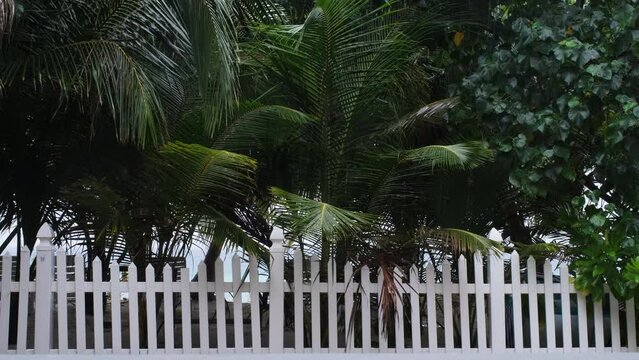 White fence over tropical trees in rainy weather on Ukulhas Island, Maldives 