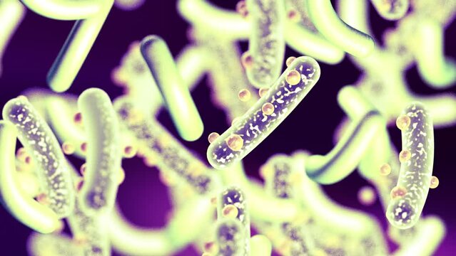 Microbacterias y organismos bacterianos. Biolog&iacute;a y antecedentes cient&iacute;ficos. Imagen microsc&oacute;pica de un virus o c&eacute;lula infecciosa.