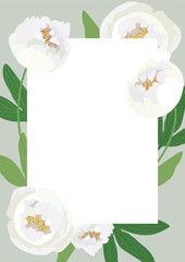 Rectangle frame with white peony and green leaves. Vector illustration.