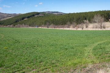 Spring landscape of Lyulin Mountain, Bulgaria