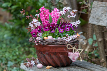 pink Hornveilchen und Hyazinthen in alter Guglhupf-Form im Garten