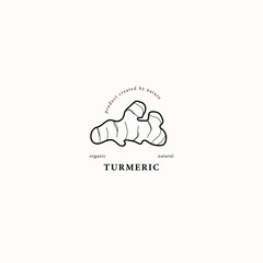 Line art turmeric root illustration