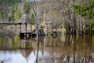 Fototapeta premium an overflowing river in a nature park where trees and children's playhouses can be seen in the water in spring