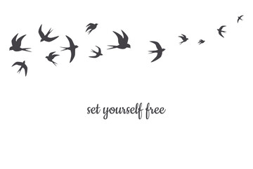 birds flying in the sky