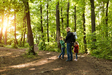 dad and two kids walk in the woods. Staycations, hyper-local travel,  family outing, getaway, natural environ. copy space. Concept of friendly family. Family spends summer time together