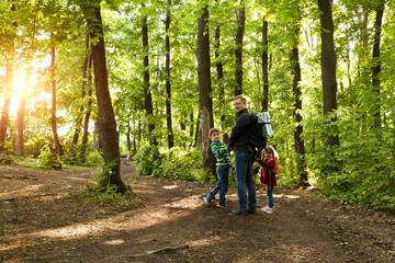 Fototapeta premium dad and two kids walk in the woods. Staycations, hyper-local travel, family outing, getaway, natural environ. copy space. Concept of friendly family. Family spends summer time together