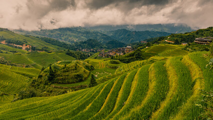 Obraz premium Terraced rice fields near Dazhai Village, Longji, China