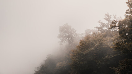 Fototapeta na wymiar Misty day on Tianmen Mountain, China