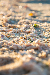 stones on the beach