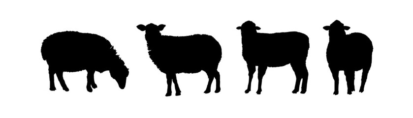 set of silhouettes of sheep	