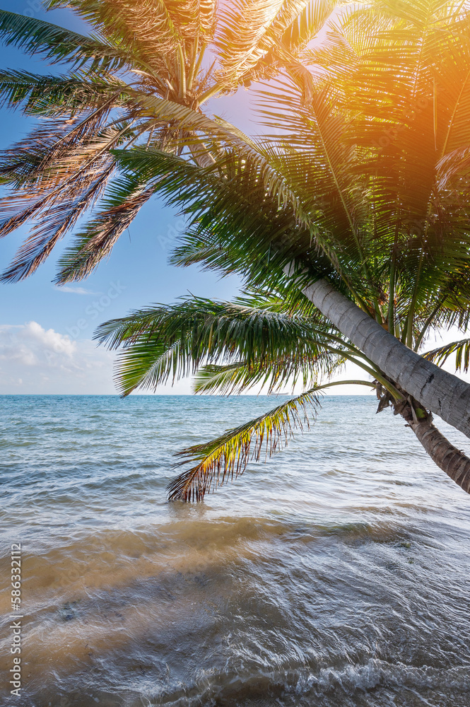 Wall mural Tropical beach resort background