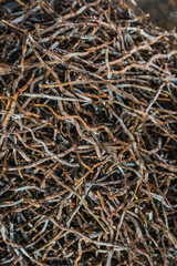 Herbs at Qingping chinese medicinal  herbs market