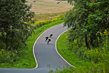 three athletes descend on longboards along an asphalt road in the forest. sport and hobby concept