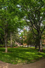 Fototapeta na wymiar American College Campus