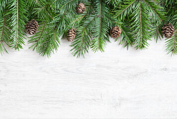 Background of Christmas tree branches. Christmas banner with twigs and cones on top.