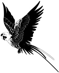 macaw bird silhouette icon