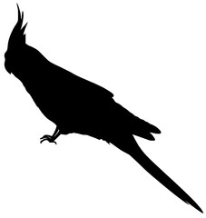 bird silhouette icon