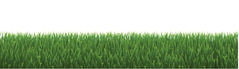 green grass background