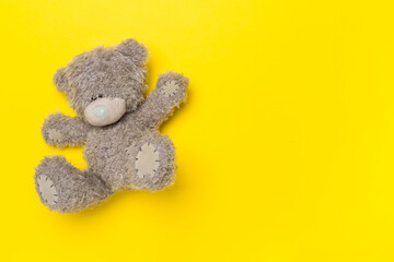Cute teddy bear on color background, top view