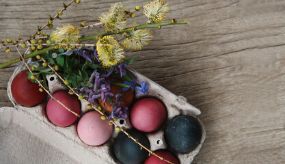 A tray with naturally painted Easter pink, red, dark blue and orange eggs with spring flowers on wooden table.