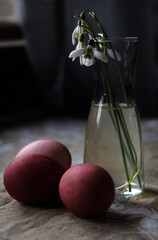 Snow drops in glass vase with painted red eggs on rustic table, Easter selebration concept.