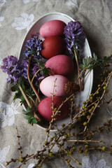 Happy Easter! A plate with naturally painted red and pink eggs with flowering spring flowers and larch tree branches on rustic table.