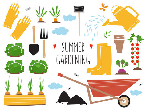 Illustration of the summer gardening. Collection with the vegetables and gardening equipment 