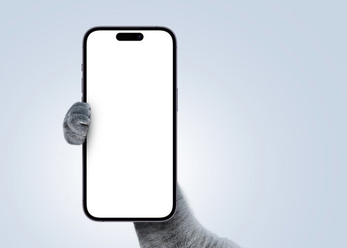 Funny cat holds a smartphone in its paw and shows a mock-up display with free space for app design, a creative idea. Pet and gadget