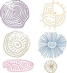 A set of circular abstract colorful backgrounds or nautical patterns. Painted doodle shapes. Designs for children's textiles and decorating baby products