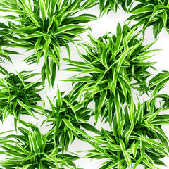 Fototapeta premium Plants Backgrounds 