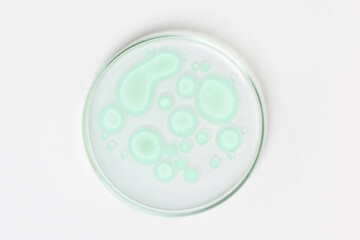 Petri dish on a light background. With light green rocks grown in the laboratory. Sensitivity of bacteria or viruses to antibiotics.