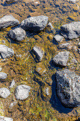 rocks in the river