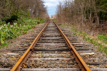 Fototapeta premium 廃線になり錆びた線路（北海道樺戸郡浦臼町）