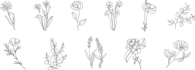 Fototapeta na wymiar Set of hand drawn plants, leaves, flowers. Hand drawn thin floral botanical line art. Vector illustration