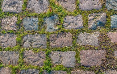 Closeup from a bird's eye view of a Dutch road with a convex surface and paved with irregularly shaped cobblestones in varied pastel colours.