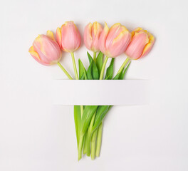 Spring flowers on white textured paper with copy space for your text. Mock up with five tulips.