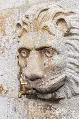 Fototapeta na wymiar Historic carved stone lion in the garden at Viana do Castelo.