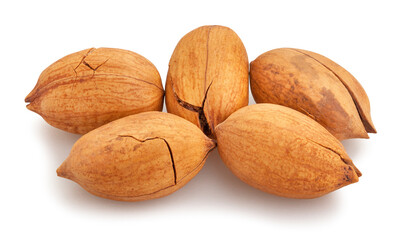 pecan nuts path isolated on white