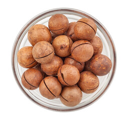 Obraz premium macadamia nut path isolated on white