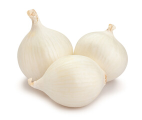 white onions path isolated on white