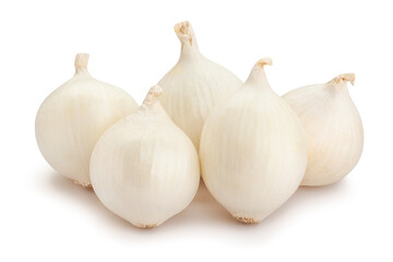 white onions path isolated on white