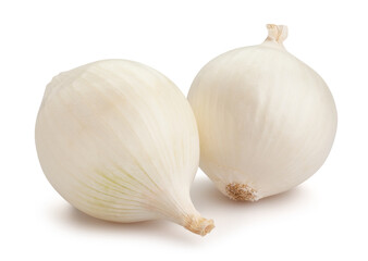 white onions path isolated on white