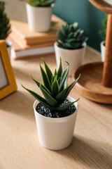 Artificial plants on wooden table, closeup